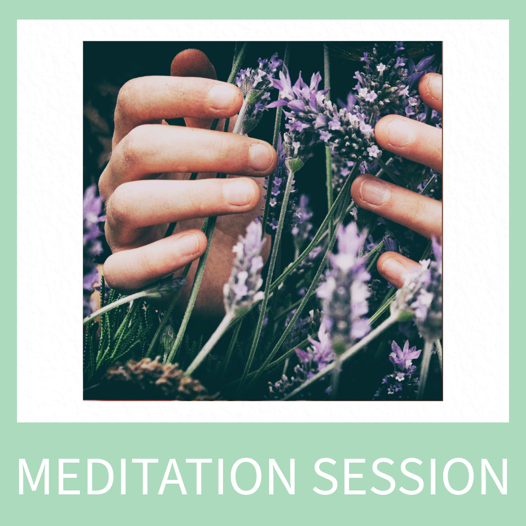 1on1 meditation session with Philipp Kobald
