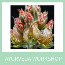 Ayurveda workshop Belgrade (Food)